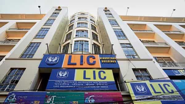 What the performance of LIC reveals about India&rsquo;s economy