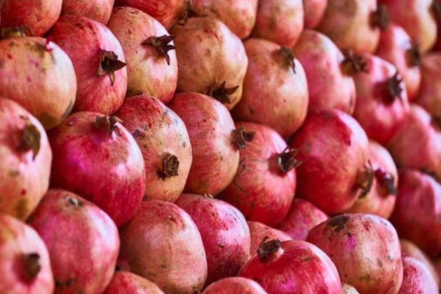 APEDA facilitates export of fresh pomegranates to USA by air