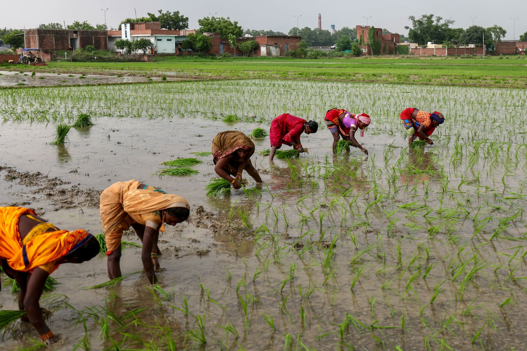 Himachal Pradesh govt to bear 50 percent interest burden on overdue agriculture loans
